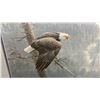 Image 3 : ROBERT BATEMAN L.E.P "THE AIR, THE FOREST AND THE WATCH" - 42 1/4" X 32 3/4" FRAMED