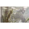 Image 2 : ROBERT BATEMAN L.E.P "INTRUSSIONS - MTN GORILLA " - 43 1/4" X 32 1/2" FRAMED