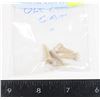 Image 1 : PREHISTORIC OCELOT TEETH
