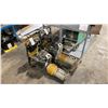 Image 1 : TWO VIBRATING COMPACTORS WITH HONDA GX 100 GAS MOTORS