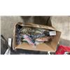 Image 1 : BOX OF ASSORTED FISH PILLOWS