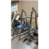 Image 1 : LIFE FITNESS SIGNATURE SERIES OLYMPIC SQUAT RACK