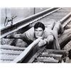 Image 2 : Christopher Reeve signed Superman movie photo