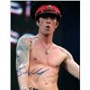 Image 1 : Stone Temple Pilots Scott Weiland facsimile signed photo