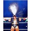 Image 1 : WWE Triple H facsimile signed photo