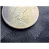 Image 7 : PEACE SILVER DOLLAR - 1923S
