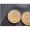 Image 31 : INDIAN HEAD CENTS - LOT OF 20