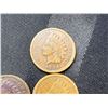 Image 9 : INDIAN HEAD CENTS - LOT OF 20
