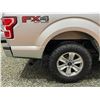 Image 27 : PARKSVILLE - 2018 FORD F-150 SILVER 107846 KMS - BA49281