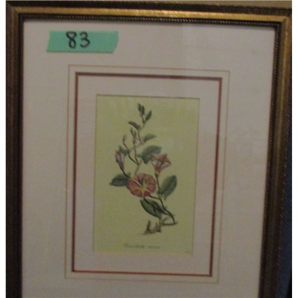 PAIR OF FRAMED FLOWERS (APPROX. 13" X 17")