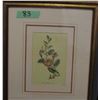 Image 1 : PAIR OF FRAMED FLOWERS (APPROX. 13" X 17")