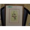 Image 2 : PAIR OF FRAMED FLOWERS (APPROX. 13" X 17")