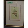 Image 4 : PAIR OF FRAMED FLOWERS (APPROX. 13" X 17")
