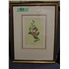 Image 5 : PAIR OF FRAMED FLOWERS (APPROX. 13" X 17")