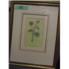 Image 7 : PAIR OF FRAMED FLOWERS (APPROX. 13" X 17")