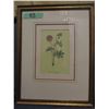 Image 8 : PAIR OF FRAMED FLOWERS (APPROX. 13" X 17")