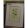 Image 9 : PAIR OF FRAMED FLOWERS (APPROX. 13" X 17")
