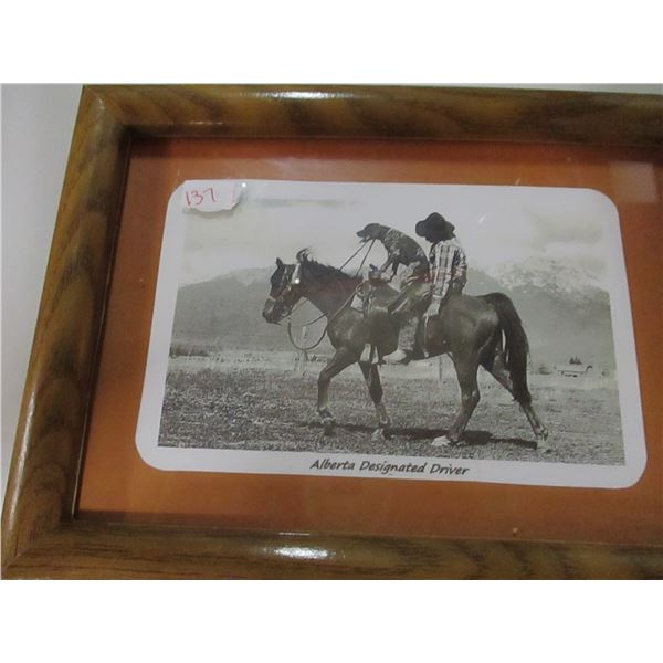 ALBERTA DESIGNATED DRIVER NEAR BANFF NATIONAL PARK PICTURE