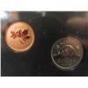 Image 7 : 2010 RCM Lynx Kitten Specimen Coin Set in Leatherette Booklet