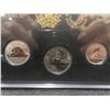 Image 6 : 2019 RCM Pileated Woodpecker Specimen Coin Set in Leatherette Booklet