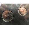 Image 6 : 2007 RCM Trumpeter Swan Specimen Coin Set in Leatherette Booklet