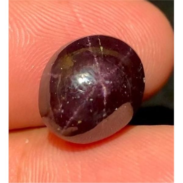 13.7 ct Certified Red Star Garnet gemstone ($10,275 Appraisal)