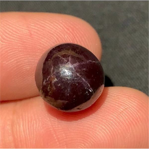 15.7 ct Certified Star Garnet gemstone ($11,775 Appraisal)