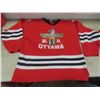 Image 2 : 3 Extra-Large Hockey Jerseys
