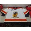 Image 4 : 3 Extra-Large Hockey Jerseys