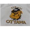 Image 6 : 3 Extra-Large Hockey Jerseys