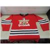 Image 8 : 3 Extra-Large Hockey Jerseys
