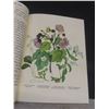Image 3 : Vintage Canadian Wild Flowers 1868 Rare Reprint Illustrated Book