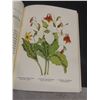 Image 4 : Vintage Canadian Wild Flowers 1868 Rare Reprint Illustrated Book