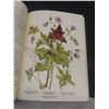 Image 5 : Vintage Canadian Wild Flowers 1868 Rare Reprint Illustrated Book