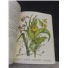 Image 6 : Vintage Canadian Wild Flowers 1868 Rare Reprint Illustrated Book