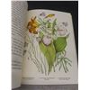 Image 7 : Vintage Canadian Wild Flowers 1868 Rare Reprint Illustrated Book