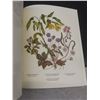 Image 9 : Vintage Canadian Wild Flowers 1868 Rare Reprint Illustrated Book