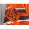 Image 2 : Vintage BC Lions Men's Large CFL Football Jersey