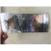 Image 7 : 7 Moose Magnets & Game Schedules, Lanyard