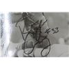 Image 3 : Roger Craig Autographed San Francisco 49ers 8" x 10" Photo