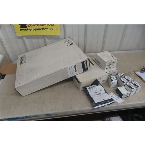 New Kohler Items - Door Assembly, Touchless Wave Flush, Kitchen Hand Spray, Lever Assembly, and Mor