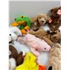Image 4 : Collection of Beanie Babies