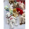 Image 3 : Collection of Beanie Babies
