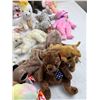 Image 5 : Collection of Beanie Babies