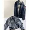 Image 1 : Carhartt Sandstone Muskegon Jacket