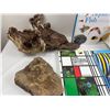 Image 3 : Aquarium Starter Lot