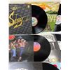 Image 4 : Stray Vinyl Records