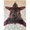 Image 1 : Bear Rug