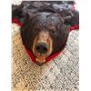 Image 2 : Bear Rug
