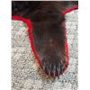 Image 3 : Bear Rug